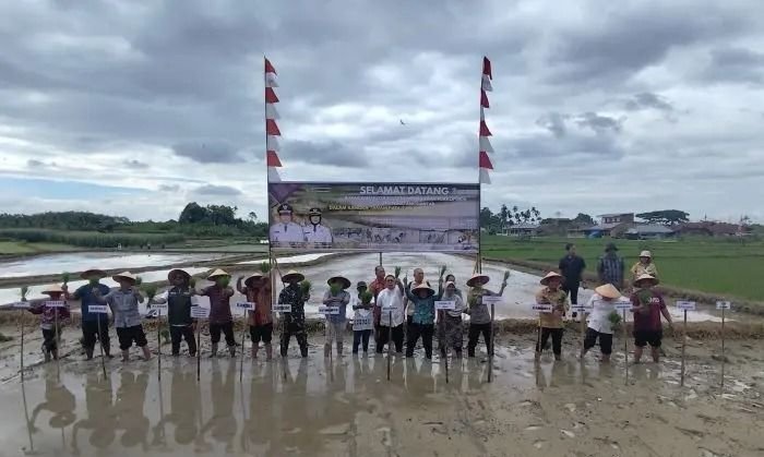 Wali Kota Wesly Silalahi Siapkan Lahan untuk Kelompok Tani Serius di Pematangsiantar