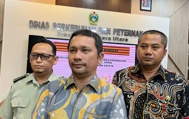 Presiden Prabowo Subianto Sumbangkan 34 Sapi Kurban untuk Sumatera Utara pada Iduladha 1446 H