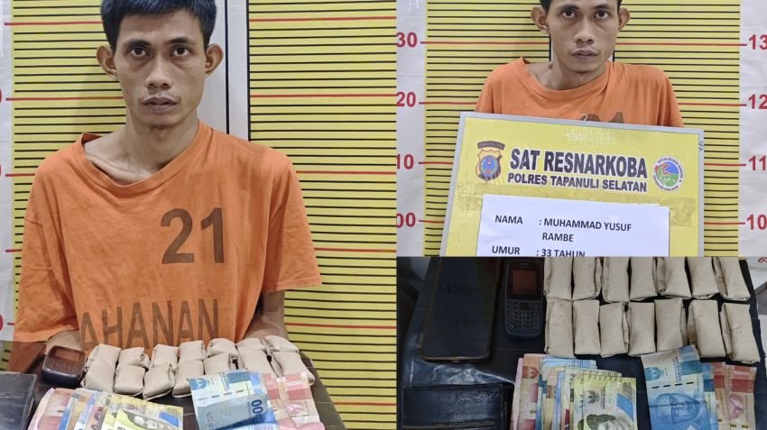 Polsek Padang Bolak Tangkap Pengedar Ganja di Padang Lawas Utara, 14 Bungkus Diamankan