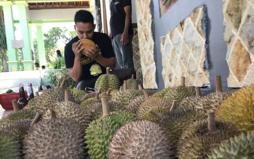 Kapan Musim Buah di Indonesia?