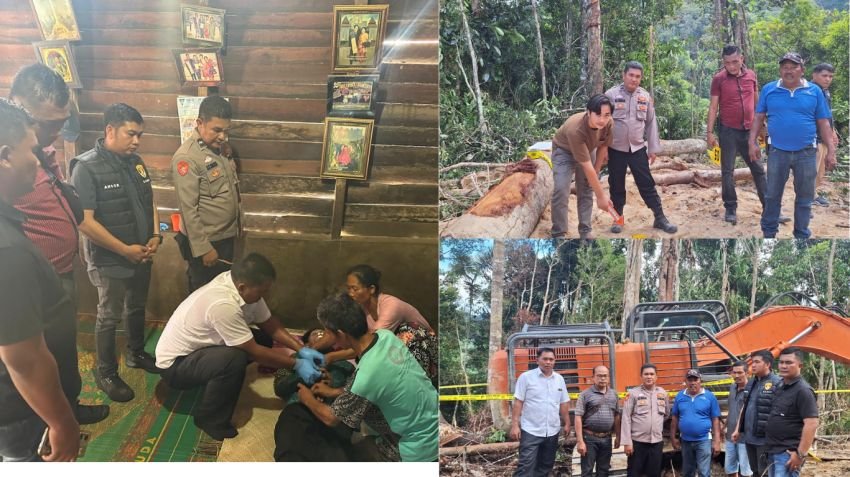 Polres Tapsel Tindak Cepat Kasus Kecelakaan Kerja yang T6w4skan Petani di Tano Tombangan Angkola