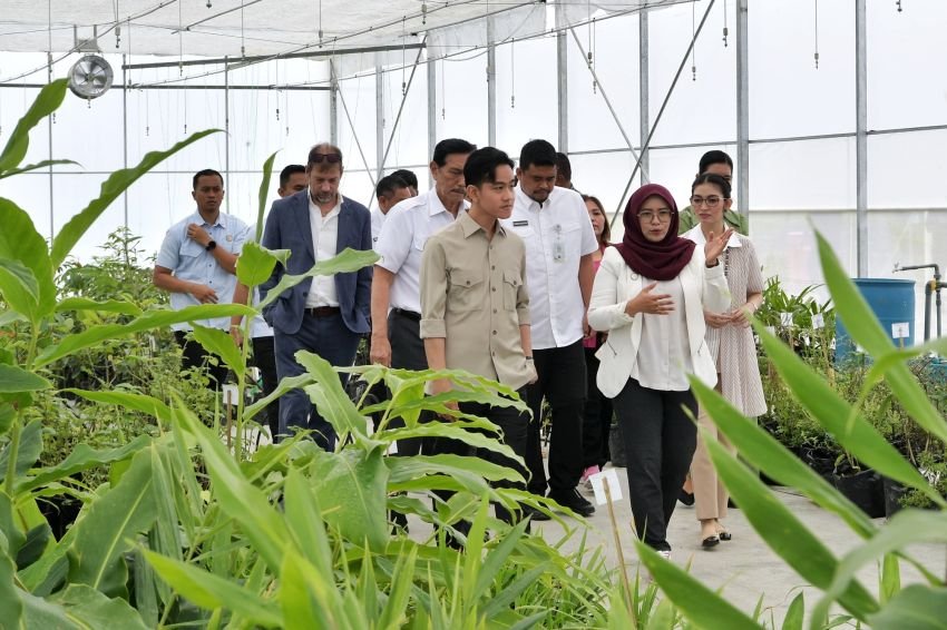 Tinjau TSTH2 Humbahas, Wapres Gibran Apresiasi Inovasi Riset dan Hilirisasi Produk Herbal-Hortikultura