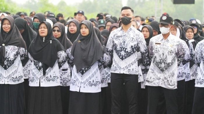 Pemerintah Berikan Bantuan Kuliah dan Dana Rp 3 Juta per Semester bagi Guru yang Lanjut D4-S1, Cek Kriterianya Disini!