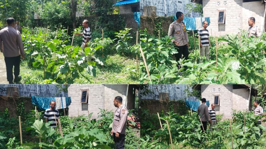 Kasat Binmas Polres Jembrana Dukung Ketahanan Pangan Lewat Edukasi Pekarangan Pangan Bergizi