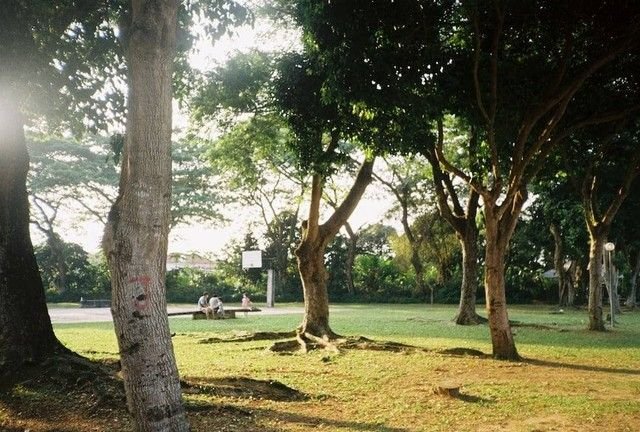 Jakarta Selatan Segera Punya Taman Terbesar Buka 24 Jam, Gabungan 3 Taman Ikonik