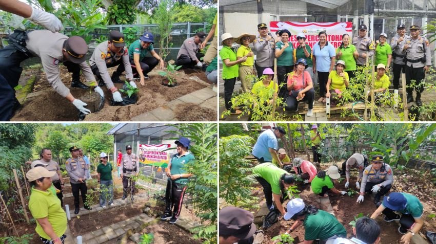 Polsek Kuta Selatan Dukung Ketahanan Pangan, Tanam Sayuran Bersama Kelompok Wanita Tani di Kelurahan Benoa