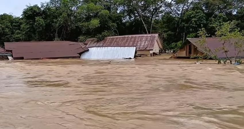 Banjir Besar Terjang Kecamatan Segah Berau, 15 Rumah Hancur, Ratusan Warga Mengungsi