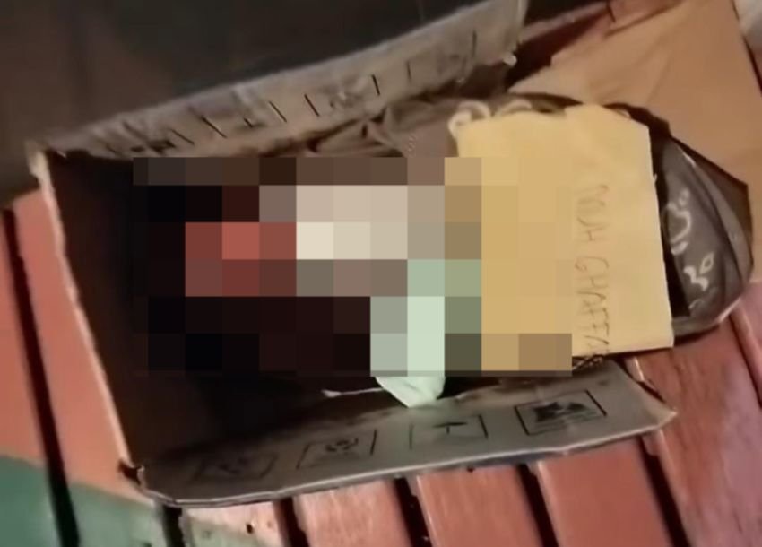 Geger Bayi Ditemukan dalam Kardus di Majene, Ada Surat Permintaan Maaf dari Sang Ibu
