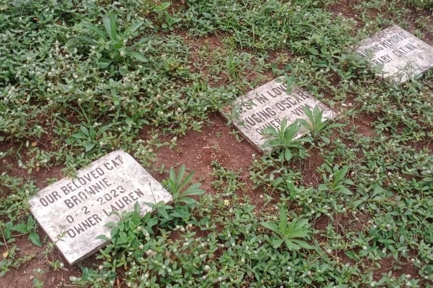 Ratusan Kuburan Hewan di Kota Malang Picu Polemik, Warga Resah karena Tak Berizin