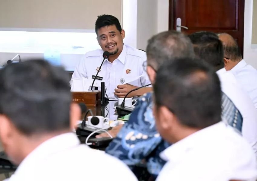 Bobby Nasution Ambil Langkah Cepat Atasi Hama Lalat Buah yang Ancam Jeruk Karo