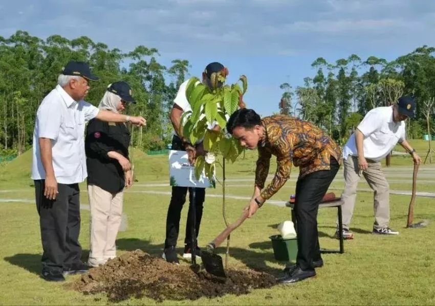 Wapres Gibran Tanam Pohon Ulin di IKN, Simbol Ketahanan dan Harapan Pembangunan