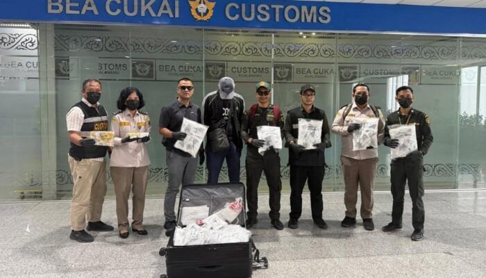 Bea Cukai Kualanamu Gagalkan Penyelundupan Ribuan Kupu-Kupu dan Satwa Eksotis Tujuan Vietnam