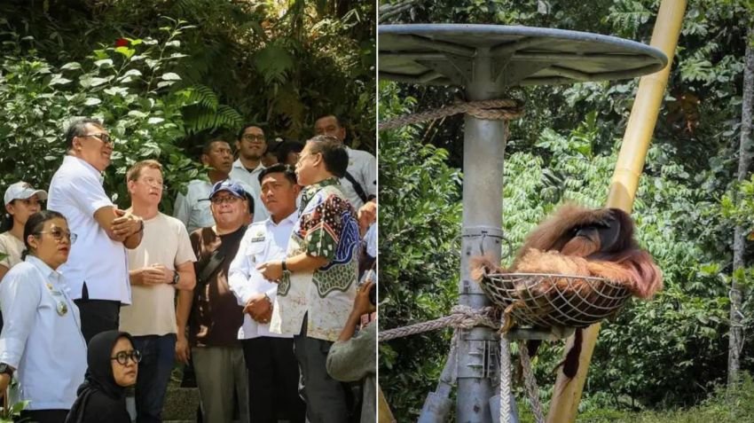Pemkab Deli Serdang Dukung Orang Utan Haven Jadi Destinasi Wisata Edukasi Unggulan