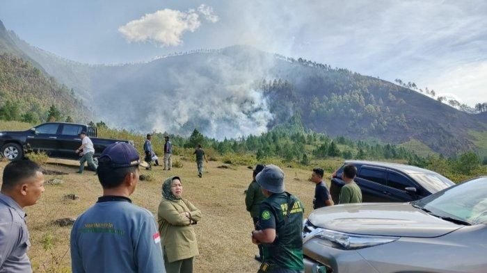 Kebakaran Hutan di Haranggaol-Simalungun Hanguskan 30 Ha, Tim Damkar dan BPBD Padamkan hingga Dini Hari