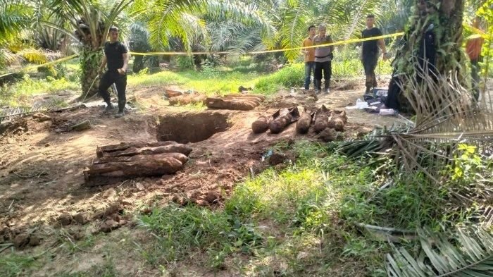 20 Bom Mortir Ditemukan di Perkebunan Langkat, Gegana Polda Sumut Lakukan Disposal