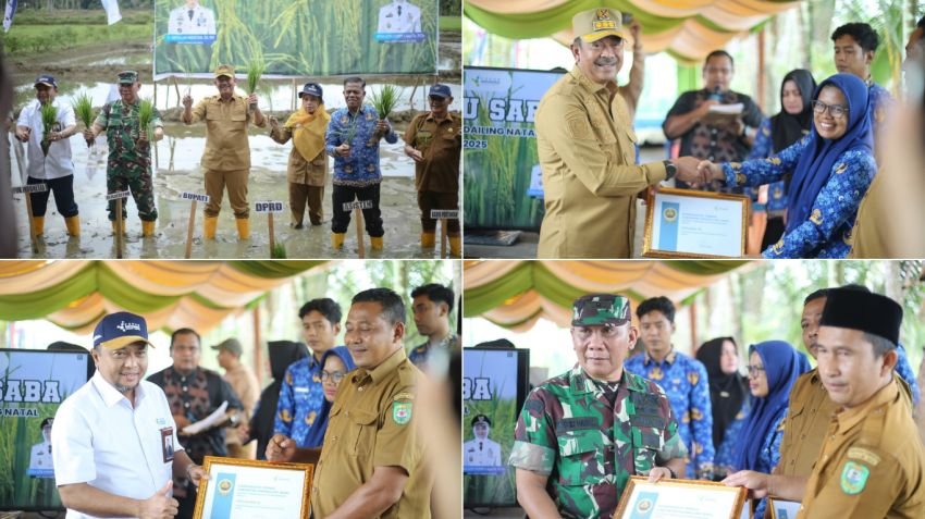 Program "Keta tu Saba" Jadi Langkah Strategis Tingkatkan Produktivitas Pertanian di Mandailing Natal