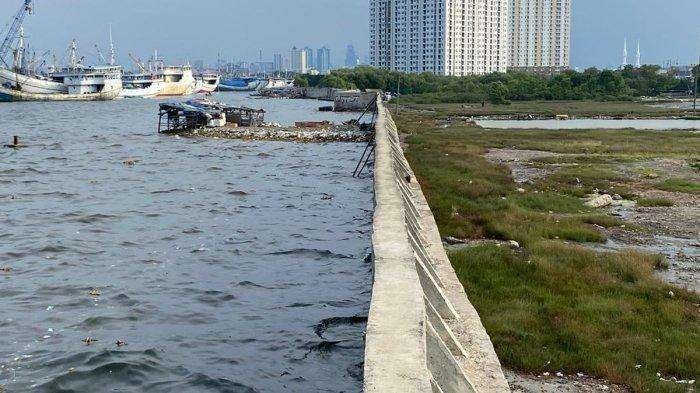 Investor Tiongkok hingga Korea Tertarik Proyek Giant Sea Wall, Pemerintah Siapkan Badan Otorita