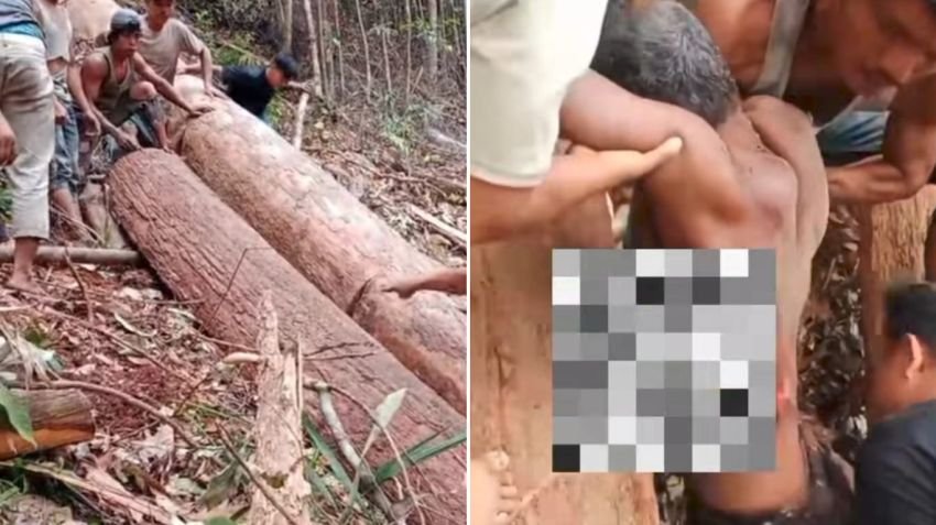 Warga Kampung Sedikit Tapsel T3w4s Tertimpa Pohon Saat Menebang di Hutan, Diduga Pelaku Perambah