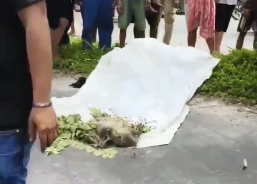 Niat Melamar Kerja, Perempuan T3was Hantam Median Jalan Usai Lawan Jambret