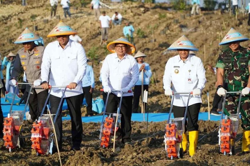 Bapanas Optimalkan Lahan Perhutanan Sosial untuk Percepat Swasembada Jagung