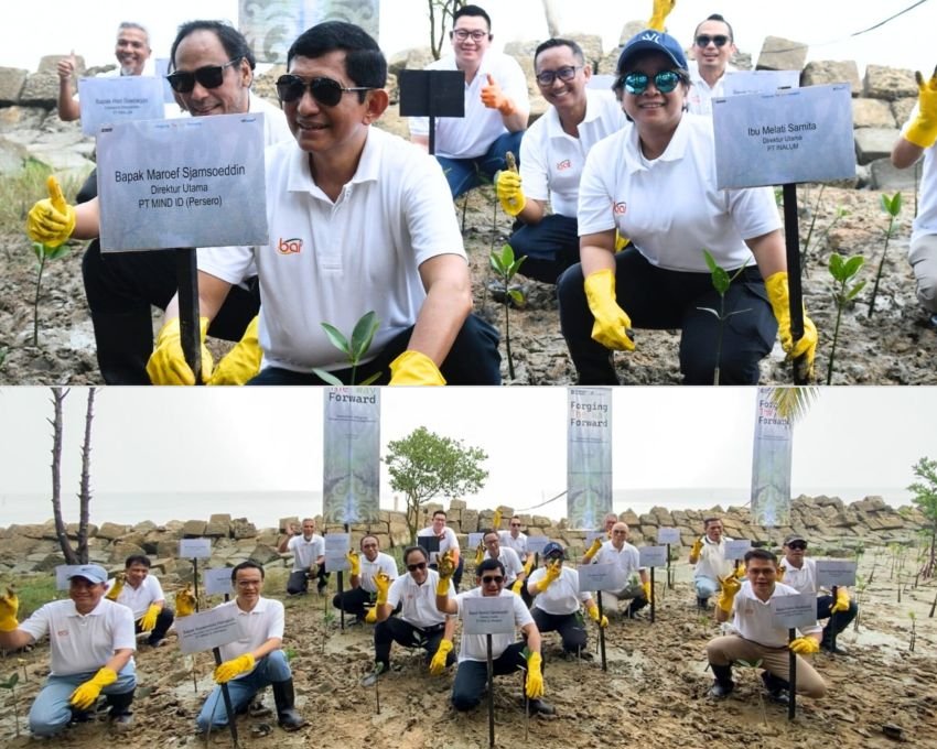 INALUM dan Grup MIND ID Perkuat Strategi Dekarbonisasi Lewat Penanaman Mangrove di Mempawah