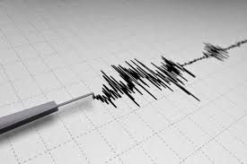 Gempa Magnitudo 4,6 Guncang Pacitan, Dirasakan hingga Yogyakarta dan Malang