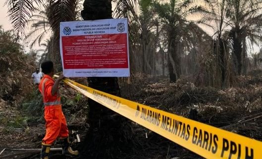 Empat Perusahaan Disegel dan Satu Pabrik Sawit Ditutup karena Karhutla di Riau