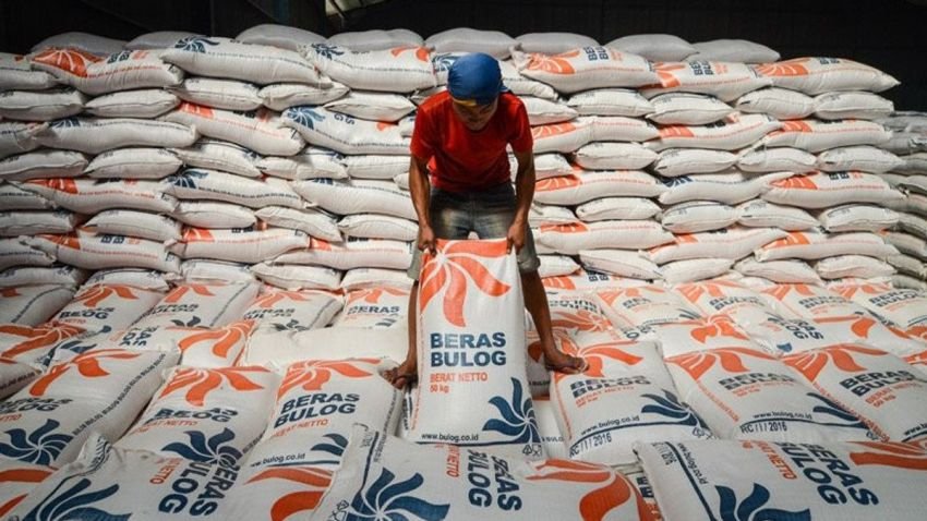 Stok Beras Melimpah, Harga Naik? Ini Kata Guru Besar UGM