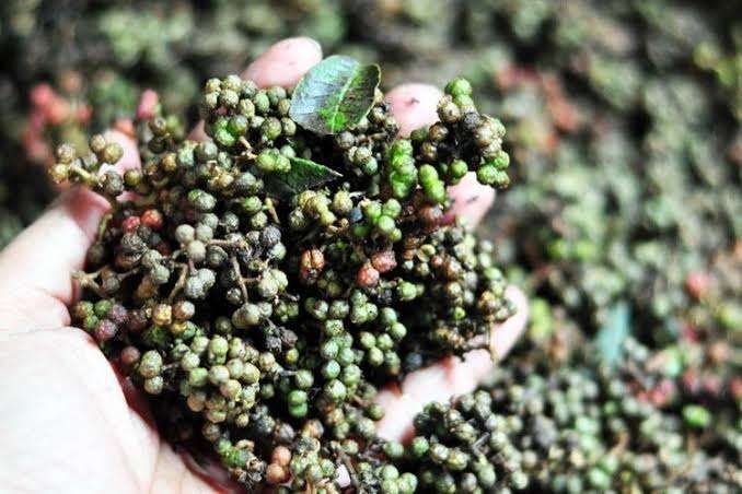 Harga Andaliman Naik Jadi Rp130 Ribu per Kg di Pematangsiantar, Pedagang dan Pengusaha Kuliner Mengeluh