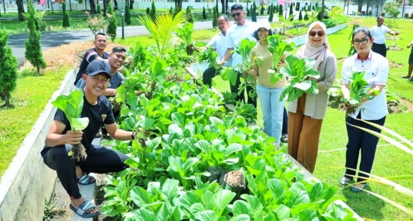 Ketahanan Pangan Dimulai dari Halaman Rumah: Inisiatif Ketua PKK Simalungun Tuai Apresiasi