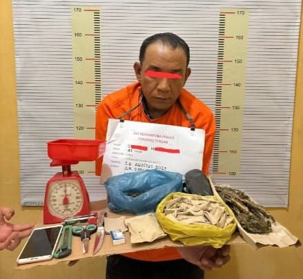 Pengedar Ganja di Tapanuli Tengah Diringkus, Polisi Sita Ratusan Paket Siap Edar