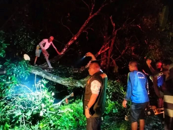 Hujan Deras Disertai Angin Kencang Rusak 14 Titik Pohon, 3 Rumah, dan 2 SD di Kota Binjai
