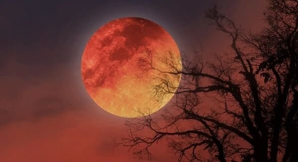 Persiapkan Teleskopmu! Gerhana Bulan Total Blood Moon Akan Terlihat di Seluruh Indonesia