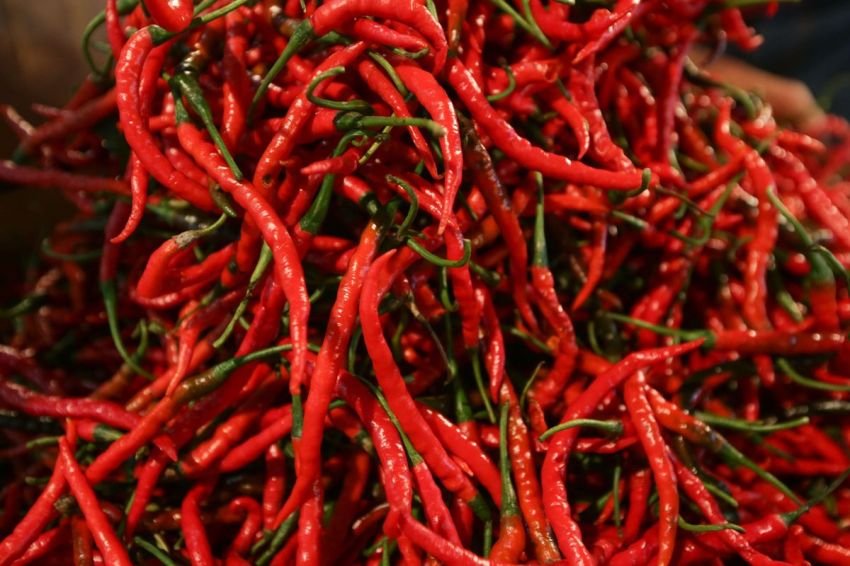 Harga Cabai Merah di Padangsidimpuan Masih Belum Stabil, Tembus Rp70.500 per Kg