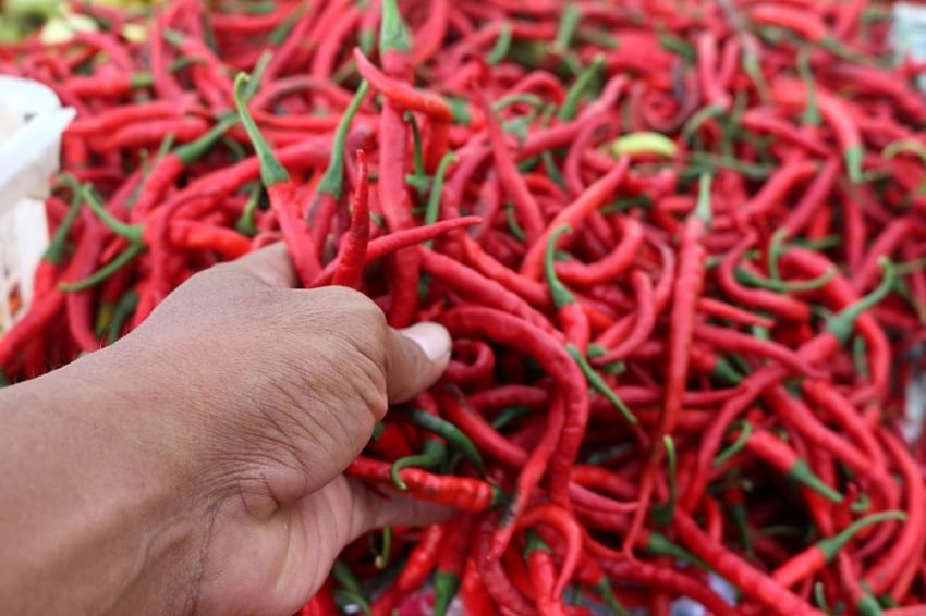 Harga Cabai Merah Tembus Rp80.000/Kg, Bawang Putih di Pasar Petisah Justru Naik