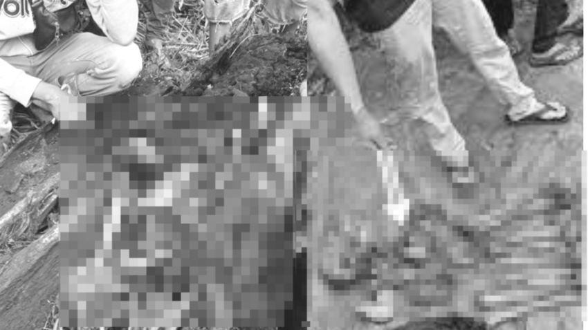 Kerangka dalam Pohon Aren Gegerkan Warga Sergai, Diduga Pemuda Hilang 2 Tahun Lalu