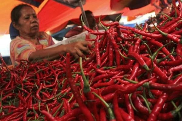 Harga Cabai di Medan Meroket, Tembus Rp 68.000 per Kg: Pedagang Merugi, Daya Beli Anjlok