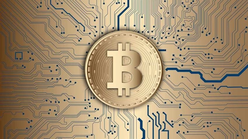 Penerimaan Pajak Kripto RI Tembus Rp1,61 Triliun hingga Agustus 2025, Indodax Sumbang Setengahnya