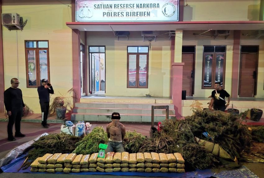 Operasi Antik Seulawah: Polisi Bireuen Ungkap Sindikat Ganja dengan Mesin Press dan Timbangan Digital