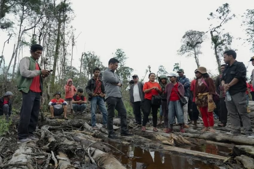 Bane Raja Manalu Desak Penghentian Perambahan Hutan di Dairi: "Deforestasi Harus Dihentikan!"